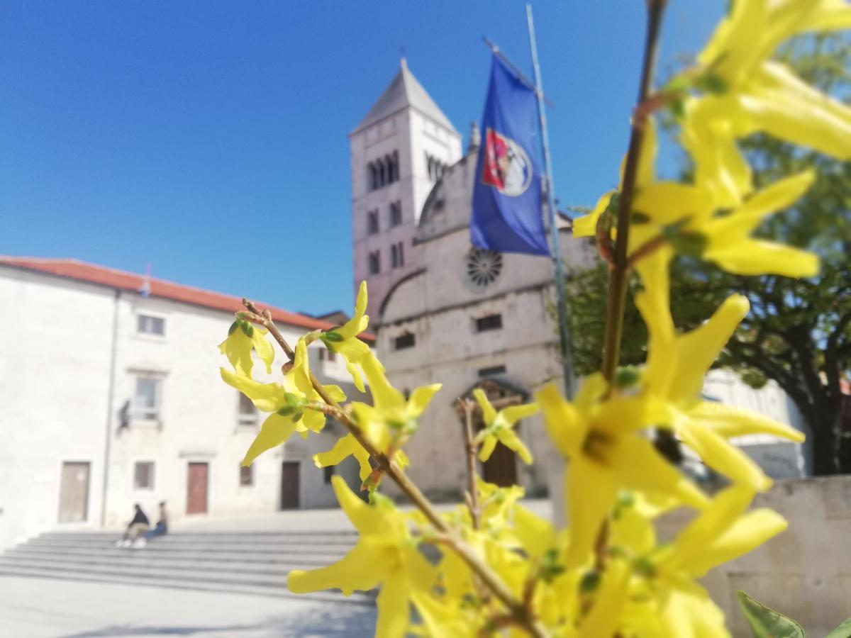 Apartman Pegla Zadar Eksteriør billede